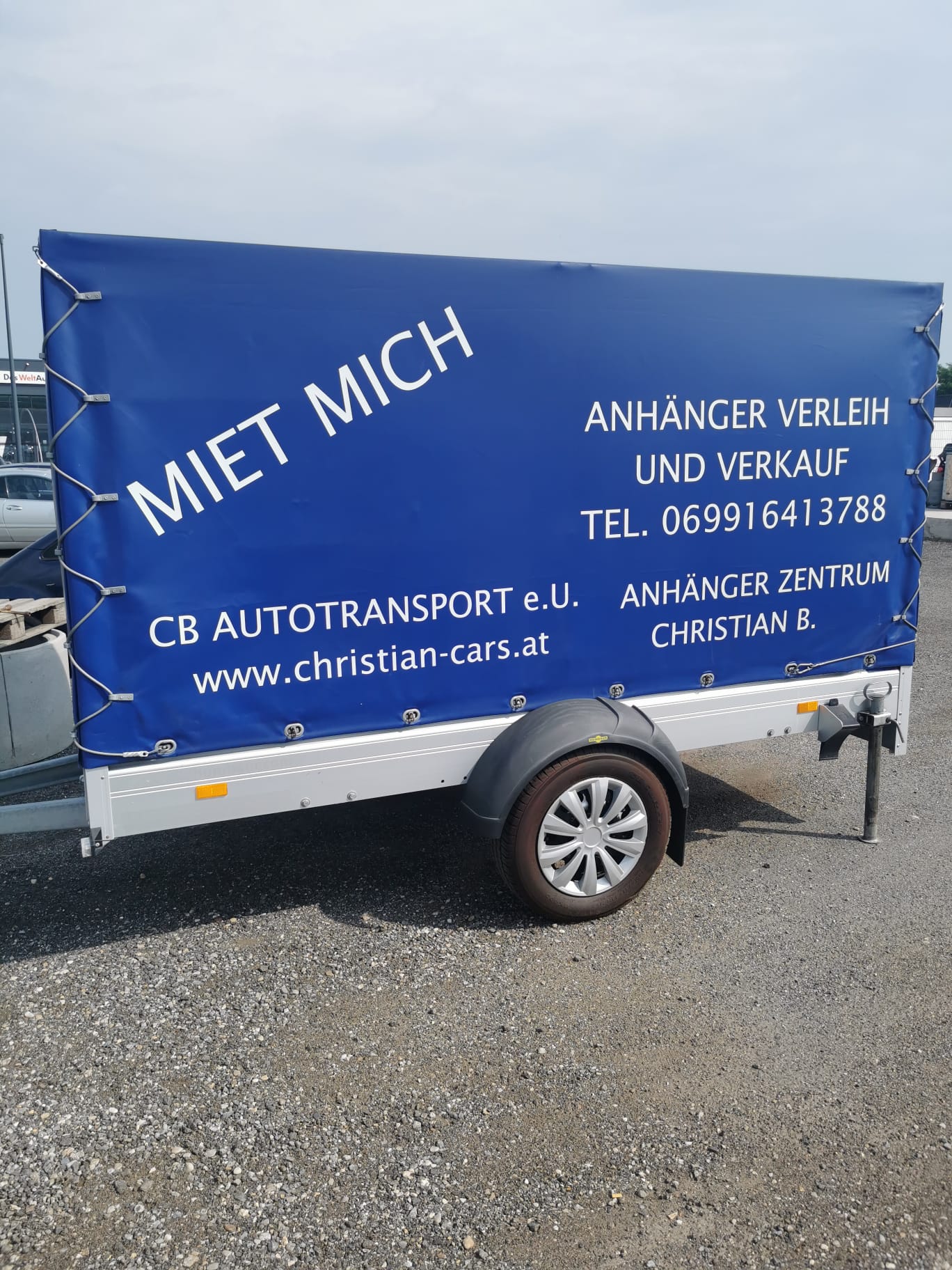 Allzweck 
